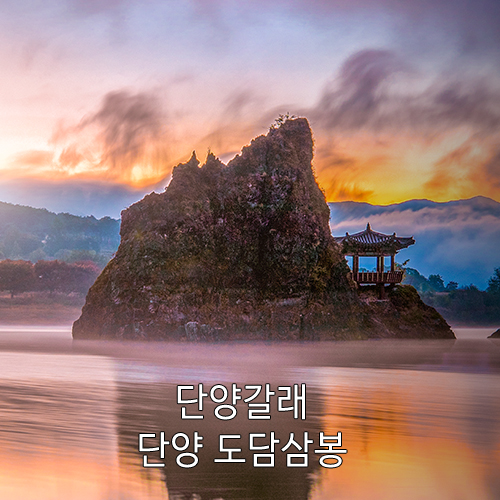 [원고료有][블로그] 단양갈래 어플 서비스 방문미션 체험단
